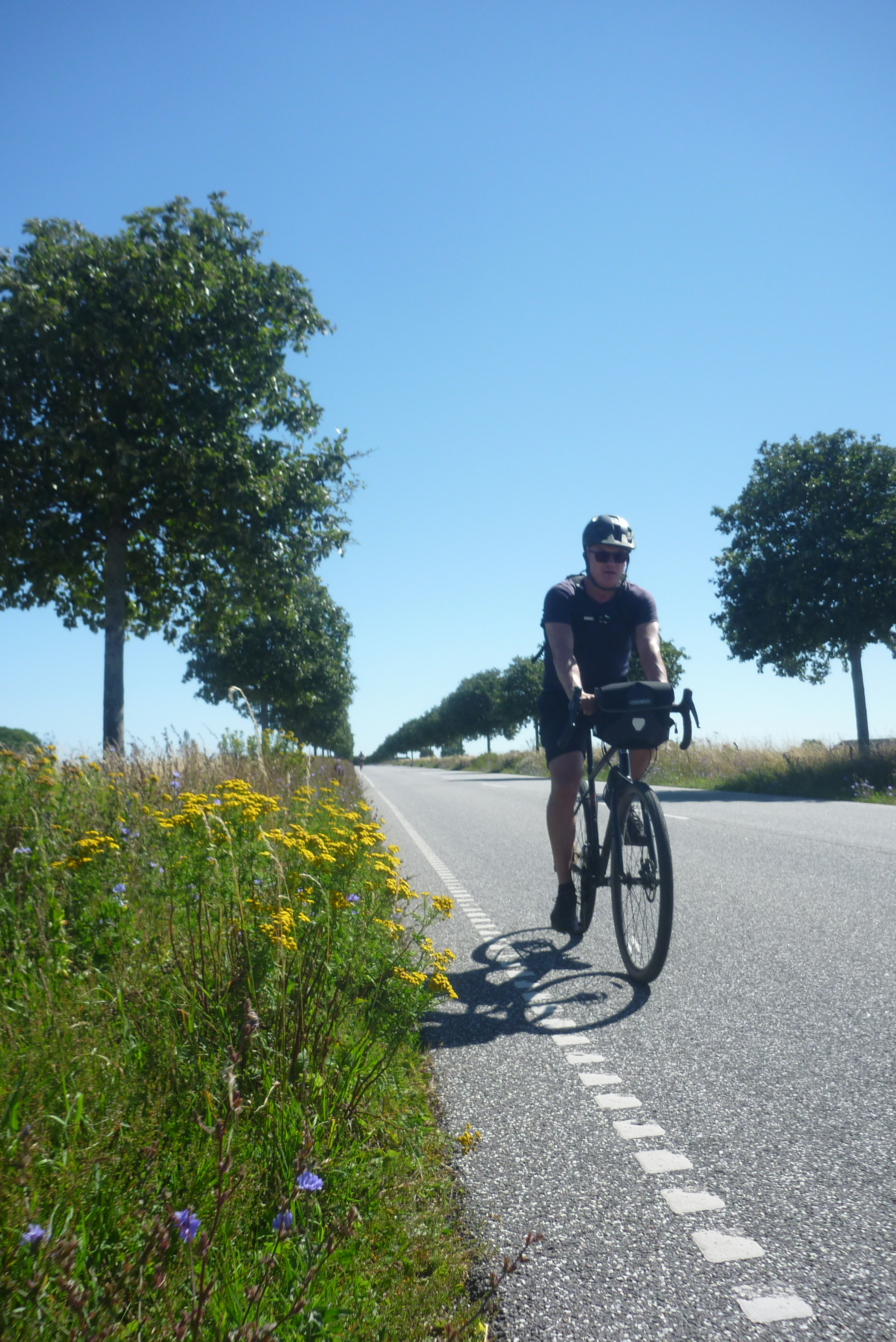 P1160765 3000Px 72Dpi
