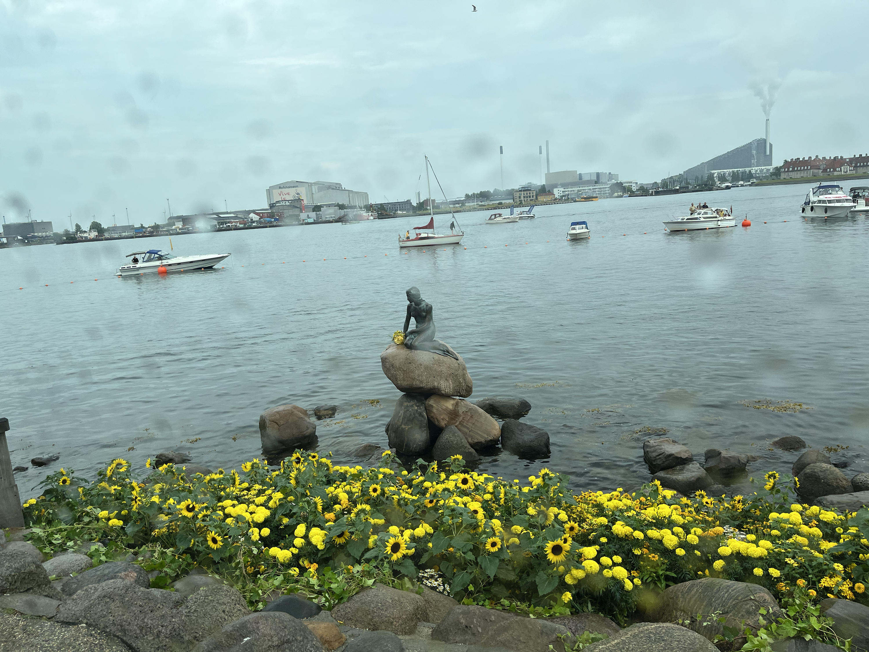 IMG 6836 3000Px 72Dpi
